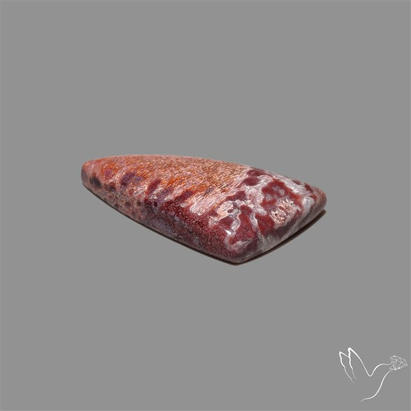 Rare Red Petrified Wood Cabochon