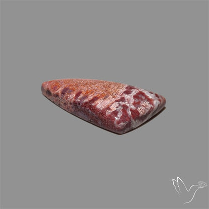 Rare Red Petrified Wood Cabochon