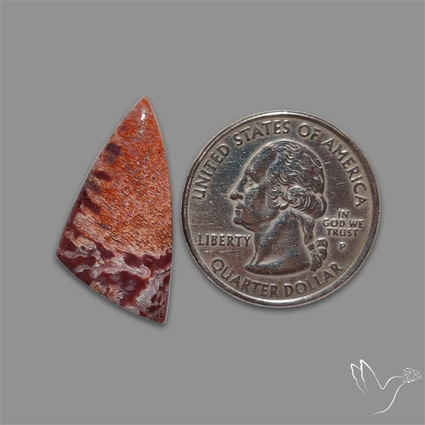 Rare Red Petrified Wood Cabochon