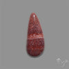 Rare Red Petrified Wood Cabochon