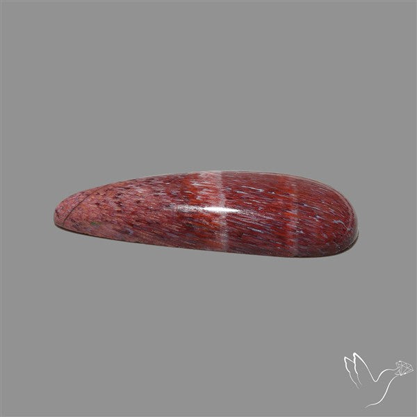 Rare Red Petrified Wood Cabochon