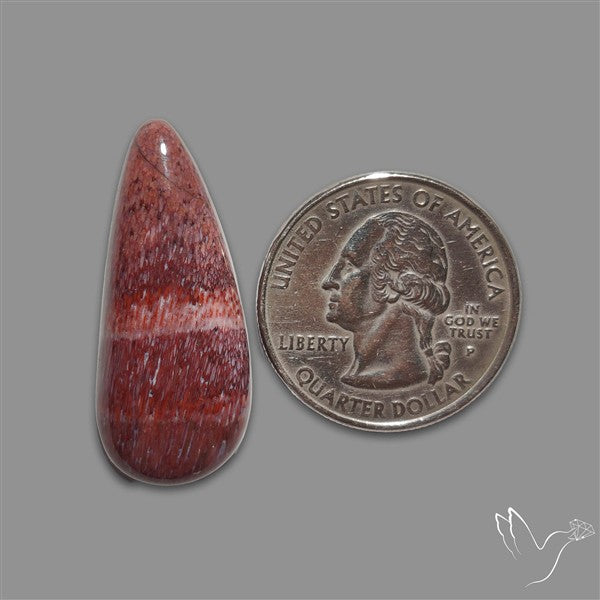 Rare Red Petrified Wood Cabochon