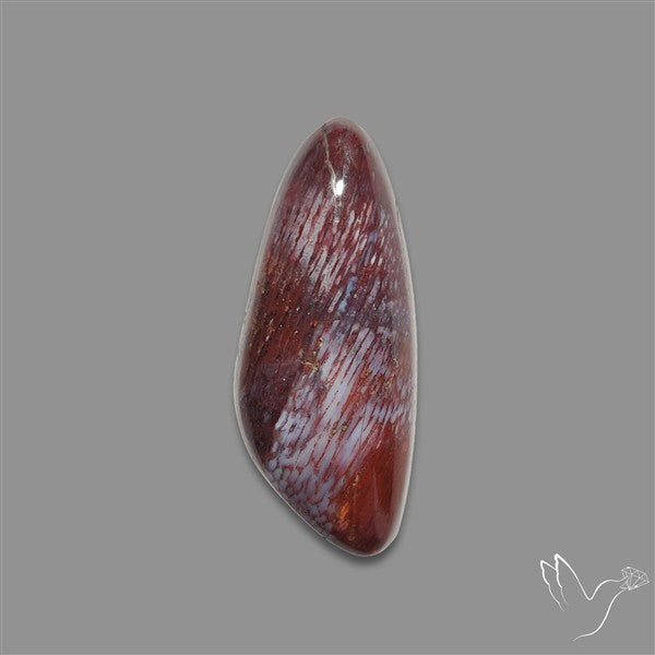 Rare Red Petrified Wood Cabochon