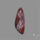 Rare Red Petrified Wood Cabochon