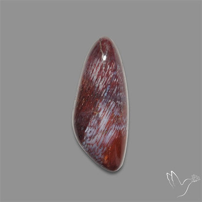 Rare Red Petrified Wood Cabochon