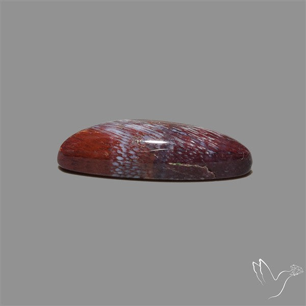 Rare Red Petrified Wood Cabochon