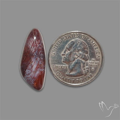 Rare Red Petrified Wood Cabochon
