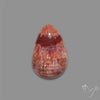 Rare Red Petrified Wood Cabochon