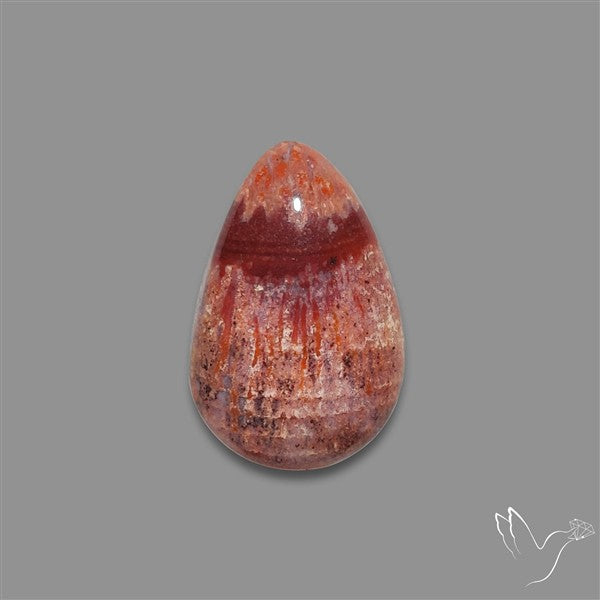 Rare Red Petrified Wood Cabochon