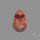 Rare Red Petrified Wood Cabochon