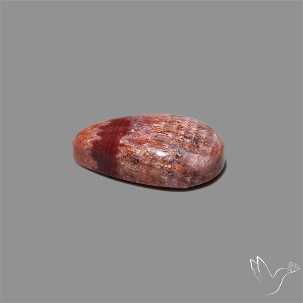Rare Red Petrified Wood Cabochon