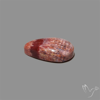 Rare Red Petrified Wood Cabochon