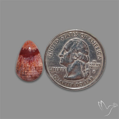 Rare Red Petrified Wood Cabochon
