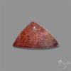 Rare Red Petrified Wood Cabochon