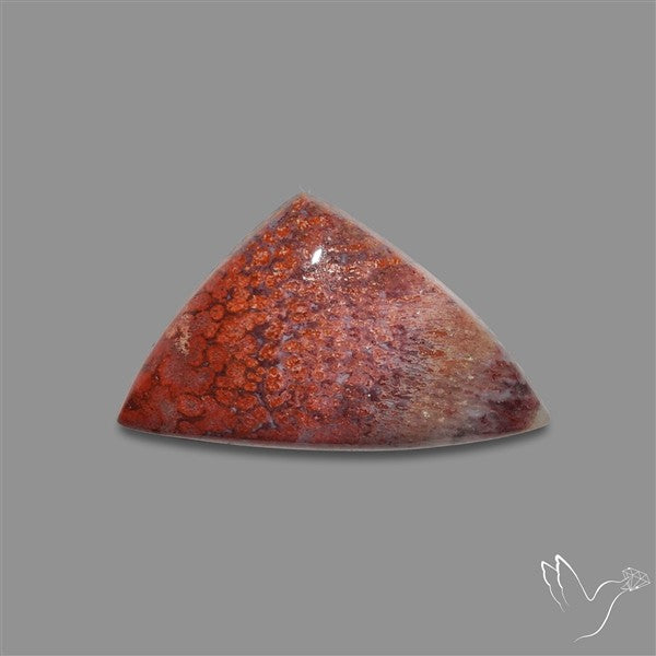 Rare Red Petrified Wood Cabochon