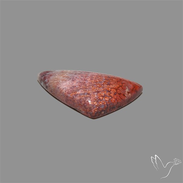 Rare Red Petrified Wood Cabochon
