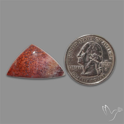 Rare Red Petrified Wood Cabochon