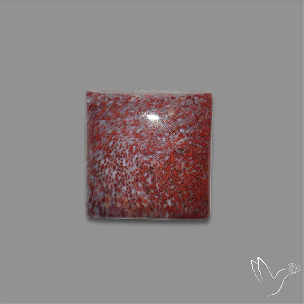 Rare Red Petrified Wood Cabochon