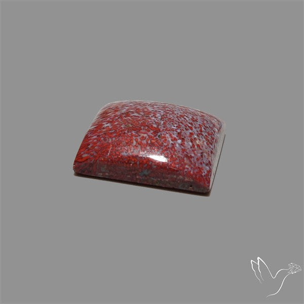 Rare Red Petrified Wood Cabochon