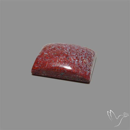 Rare Red Petrified Wood Cabochon