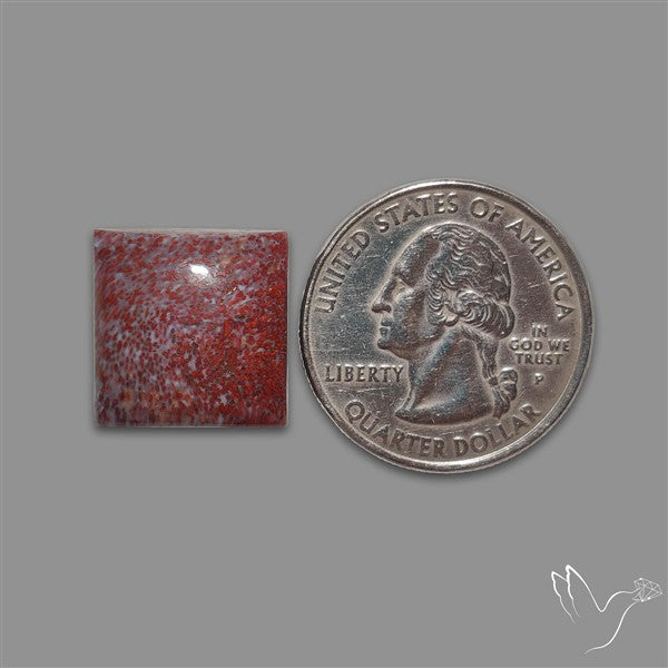Rare Red Petrified Wood Cabochon