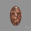 Poppy Jasper Cabochon with perfect orbicular patterns