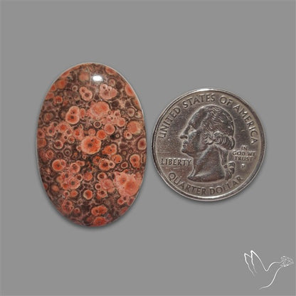 Poppy Jasper Cabochon with perfect orbicular patterns