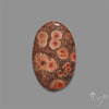 Poppy Jasper Cabochon with perfect orbicular patterns