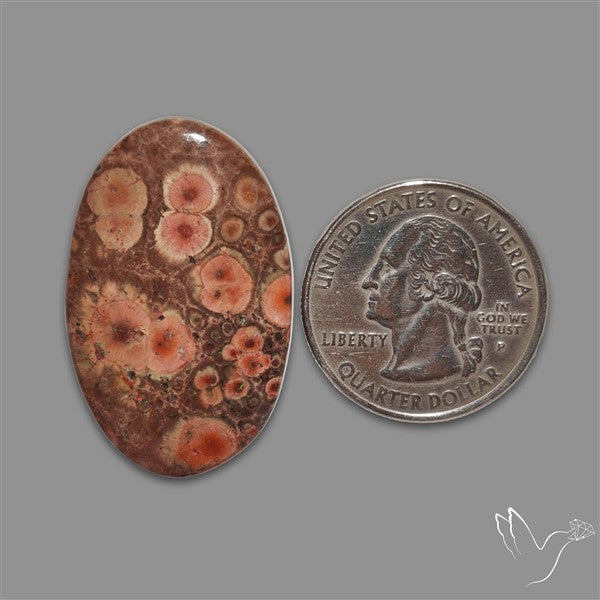 Poppy Jasper Cabochon with perfect orbicular patterns