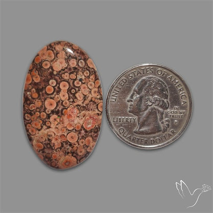 Poppy Jasper Cabochon with perfect orbicular patterns