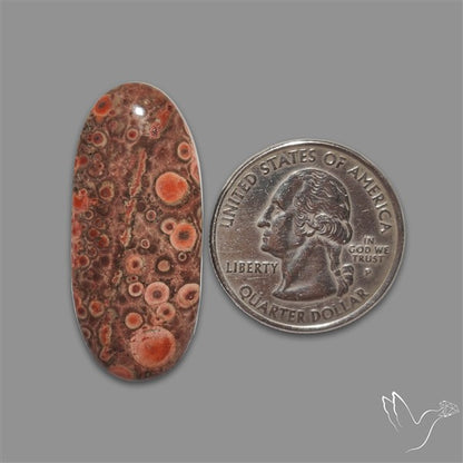 Poppy Jasper Cabochon with perfect orbicular patterns