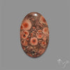 Poppy Jasper Cabochon with perfect orbicular patterns