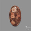 Poppy Jasper Cabochon with perfect orbicular patterns