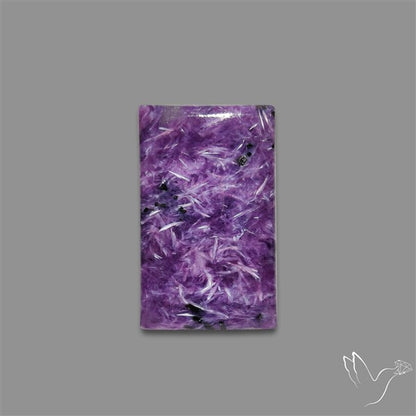 Charoite Cabochon