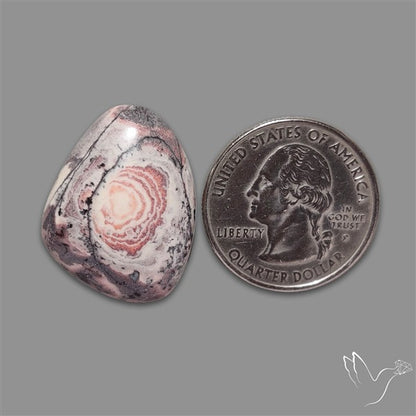 Porcelain Jasper Cabochon