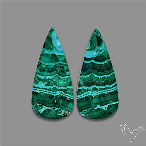 Chrysocolla In Malachite Cabochons Pair