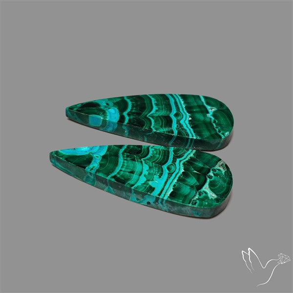 Chrysocolla In Malachite Cabochons Pair
