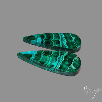 Chrysocolla In Malachite Cabochons Pair