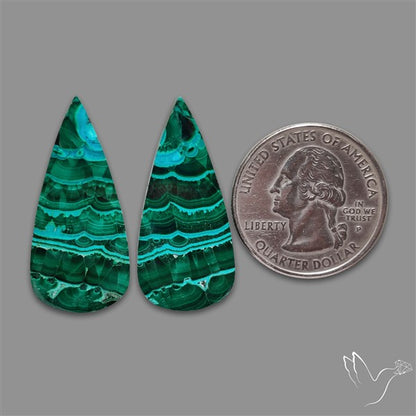 Chrysocolla In Malachite Cabochons Pair