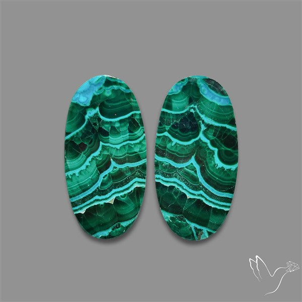 Chrysocolla In Malachite Cabochons Pair