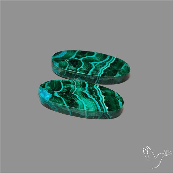 Chrysocolla In Malachite Cabochons Pair