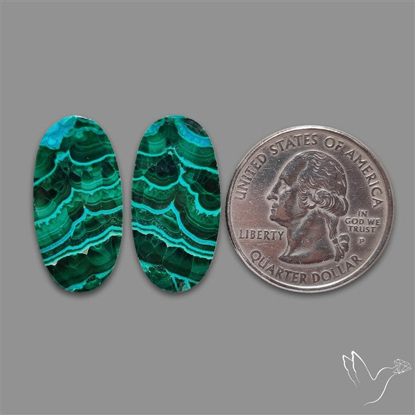 Chrysocolla In Malachite Cabochons Pair
