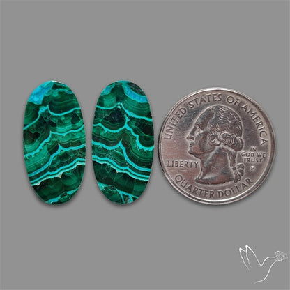 Chrysocolla In Malachite Cabochons Pair