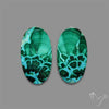 Chrysocolla In Malachite Cabochons Pair