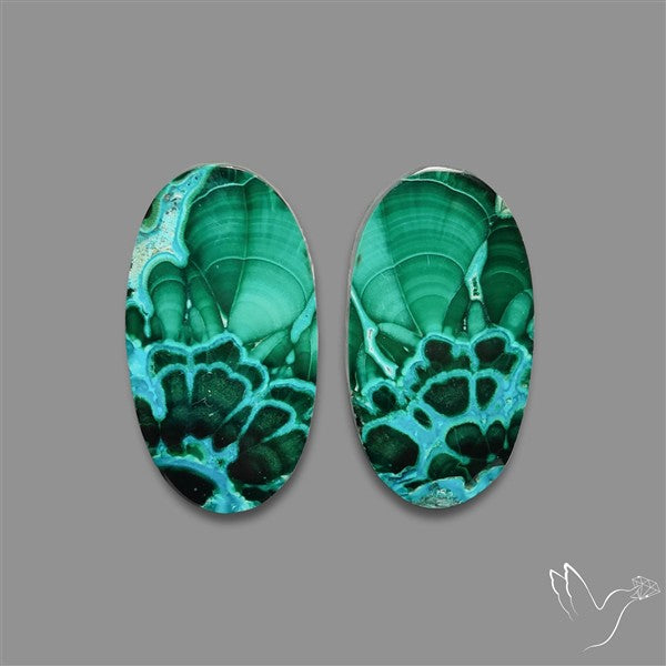 Chrysocolla In Malachite Cabochons Pair