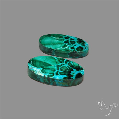 Chrysocolla In Malachite Cabochons Pair
