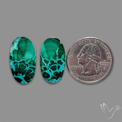 Chrysocolla In Malachite Cabochons Pair
