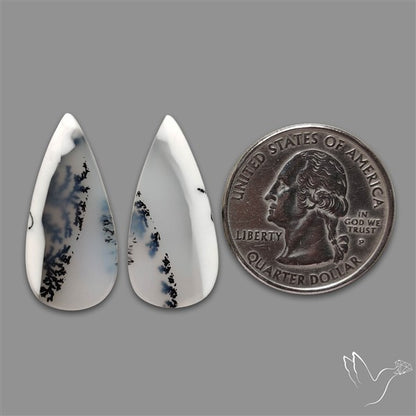 Dendritic Opal Cabochons Pair