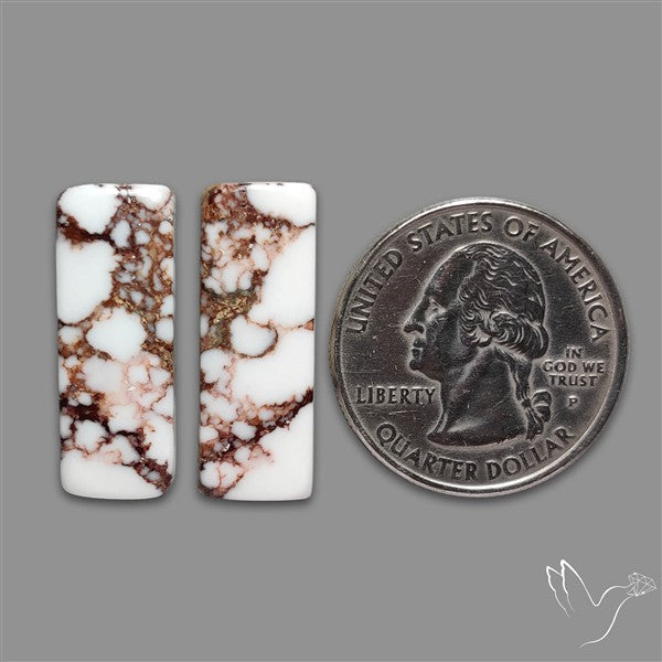 Wild Horse Jasper Cabochons Pair