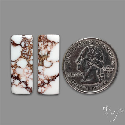 Wild Horse Jasper Cabochons Pair